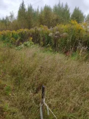 Земельный участок 848+/-10 кв.м. Тульская область Земельный участок в Туле, 848+/-10 кв.м. с кадастровым номером: 71:14:040301:4915, расположенный по адресу: Российская Федерация, Тульская область, город Тула г.о, д. Ямны.