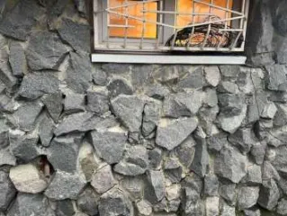 Здание жилое, 2-х этажное, площадью 314,20 кв. м, кадастровый номер 49:09:030514:161, по адресу: Магадан, проспект Карла Маркса, дом 1; и земельный участок под жилым зданием, площадью 1763,00 кв. м, кадастровый номер 49:09:030514:30 (Магадан, проспект Карла Маркса, дом 1)