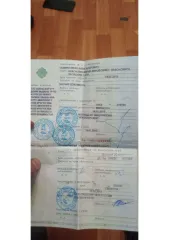 Toyota Corolla Premio 1996 легковой автомобиль, марка: ТОУОТА, модель: СОRОNА РRЕМIО, год изготовления: 1996 г.в., цвет: серый, г/н: С901КУ124, мощность двигателя, л. с. (кВт): 115 (84,5), рабочий объем двигателя, куб. см: 1762, кузов №: AT211-0040527, разрешенная максимальная масса: 1540, масса…