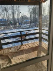 Дом 141,2 кв.м. и земельный участок 663 кв.м. в Иркутской обл. Дом, площадью: 141,2 кв.м., с кадастровым номером: 38:36:000016:3227, расположенный на земельном участке, площадью: 663 кв.м., с кадастровым номером: 38:36:000016:3081. Адрес: Российская Федерация, Иркутская область, м.р-н. Иркутский…