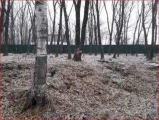 Земельный участок площадью 600 кв.м, кадастровый номер 25:28:050027:1883. Местоположение установлено относительно ориентира — жилой дом. Участок находится примерно в 440 м на запад от ориентира. Почтовый адрес ориентира: Приморский край, г. Владивосток, ул. Васильковая, д. 21.