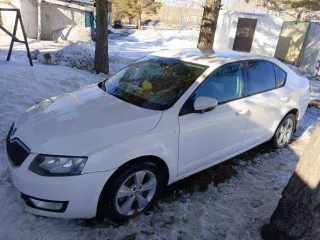 SKODA OCTAVIA, 2014 года выпуска, VIN XW8AC6NE2EH021495