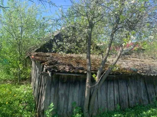 Квартира 44,6 кв.м. и участок 1120 кв.м., Курская область. Квартира 44,6 кв.м. и земельный участок 1120 кв.м. в Курской обл. Ещё квартира 44,6 кв.м. и земельный участок 1120 кв.м. в Курской обл. Ещё 1. Квартира, площадь: 44,6 кв.м., назначение: жилое, этаж: 1, адрес (местонахождение): Курская…