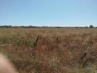 Земельный участок 600 кв.м Краснодарский край кад. номер 23:26:0105001:700 , Краснодарский край