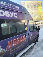 Ford Transit 2014 года выпуска, цвет серебристый. Идентификационный номер (VIN) Z8X224326E0001274. Дизельный двигатель мощностью 155 л.с. Находится в Московской области, Одинцовском городском округе, селе Немчиновка.