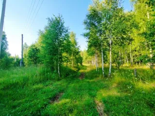 Земельный участок, 495300 кв.м, Нижегородская область, Сокольский район Имущество АО «КАПИТАЛ АСИСТАНС»: земельный участок, кадастровый номер 52:07:0800006:1592, 495300 кв.м. Земельный участок для индивидуального жилищного строительства, земли населенных пунктов, кадастровый номер…