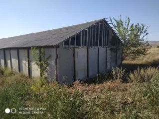 Нежилое здание - птицефабрика, лит. А, общей площадью 1242,3 кв.м, кадастровый номер 06:01:0900001:1635; Нежилое здание - птичник, лит. Г1, общей площадью 1224,6 кв.м, кадастровый номер 06:01:0900001:1889; Земельный участок. Категория земель: Земли населённых пунктов, виды разрешенного…