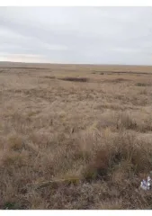 Земельный участок 351 600 кв.м, Оренбургская область, Кваркенский район 1/6 доля земельного участка в Оренбургской обл. еще 1/6 доля земельного участка в Оренбургской обл. еще 1/6 доля в праве на земельный участок, площадь: 351 600кв.м., адрес (местонахождение): Российская Федерация, Оренбургская…