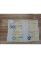Mazda 626, 2000 года, 136 лс, АКПП, легковой автомобиль, марка: MAZDA, модель: 626, год изготовления: 2000 г.в., VIN: 1YVGF22C715201750, г/н: Е455МН08, мощность двигателя, л. с. (кВт): 136 (100), рабочий объем двигателя, куб. см: 1991, кузов №: 1YVGF22C715201750.