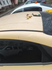 Hyundai Solaris 2019, идентификационный номер (VIN): Z94K241CALR144924