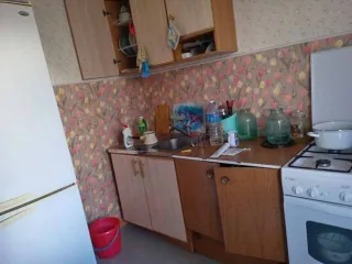 1/4 доли в квартире, 49 кв. м, Курская область, Железногорск. 1/4 доля квартиры в Курской обл. еще 1/4 доля квартиры в Курской обл. еще 1/4 доли в праве на Квартиру, расположенную по адресу: Курская область, г. Железногорск, ул. Молодёжная, д. 3/5, кв. 51. Кадастровый номер: 46:30:000014:3806…