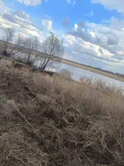 Жилой дом, площадь 71,5 кв.м., назначение: жилое, количество этажей: 1, кадастровый номер: 54:13:010808:193 на земельном участке, площадь 1479 кв.м., кадастровый номер: 54:13:010808:39. Местонахождение: Новосибирская область, Краснозерский район, рабочий поселок Краснозерское, площадь Кирова, дом…