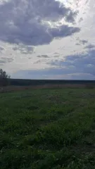 Земельный участок, площадь 644 +/  9 кв.м., назначение: для ведения личного подсобного хозяйства, адрес  местонахождение : Россия, Респ Марий Эл, р н Моркинский, д Балдырка, ул Родниковая, кадастровый  условный  номер: 12:13:0300101:303, вид собственности: индивидуальная.