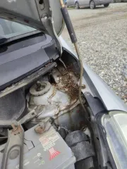 Honda Fit 2004 года, 86 л.с., пробег 300000 км, АКПП. Цвет серый. VIN отсутствует. ПТС 25ТО374964, госномер В989ТА96. Модель двигателя L13A, бензиновый, номер 1855928, мощность 86 л.с., объем 1339 куб. см. Номер кузова GD1-2033176. Экологический класс второй. Разрешенная максимальная масса 1275 кг…