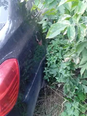 Datsun On-Do 2017 автомобиль марки DATSUN модель ON DO, 2017г/в, VIN: Z8NBAABD0J0067693 Ознакомление с имуществом в гор. Семенов Нижегородской области по предварительной заявке, направленной на адрес электронной почты финансового управляющего: irt2000@mail.ru