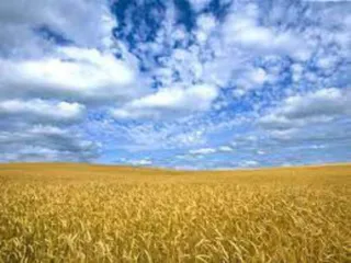 Земельный участок 5 460 000 кв.м, Курганская обл., Петуховский р-н, доли 2/42, еще 2/42 доли земельного участка в Курганской обл., еще 2/42 доли в праве общей долевой собственности на земельный участок площадью 5460000/+-20446 кВ.м., кадастровый номер 45:14:030803:496, вид разрешенного…