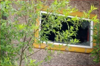 Нежилое здание 43 кв.м и земельный участок 250 кв.м в Костромской области, Мантуровский район, город Мантурово, улица Победы. Здание кафе-бара "Теремок". Кадастровый номер здания: 44:28:030207:66. Кадастровый номер земельного участка: 44:28:030231:86. Категория земель: земли населенных пунктов…