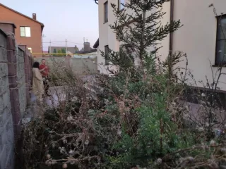Здание (кадастровый номер: 74:33:0207003:752, назначение объекта недвижимости: жилое, местоположение: Челябинская область, г. Магнитогорск, ул. Юбилейная, д. 167, площадь: 365,9 кв.м.), земельный участок (кадастровый номер: 74:33:0207003:493, виды разрешенного использования объекта недвижимости…