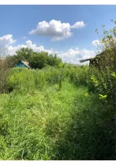 1/2 доля дома 23,8 кв.м и 1/2 доля земельного участка 3096 кв.м в Оренбургской области, 1/2 доля в праве на жилой дом, площадь: 23,8кв.м., кадастровый номер: 56:28:1401003:321, 1/2 доля в праве на земельный участок, площадь: 3 096кв.м., кадастровый номер: 56:28:1401003:313, Категория земель: Земли…