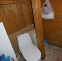 Здания и земельный участок общей площадью 1176 кв.м в Москве. Нежилое здание, кадастровый номер: 77:18:0170804:78, площадью 150,4 кв.м, адрес: г. Москва, поселение Марушкинское, квартал 116, владение 56, стр. 1. Нежилое здание, кадастровый номер: 77:18:0170707:399, этажность 1, площадь 16,6 кв.м…