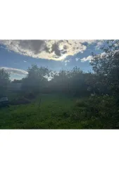 Дом 52,7 м² и участок 1359 м², Тула (Зареченский р-н, п. Хомяково). Дом: 1-н этаж, 3-и жилых комнат, 52,7 кв.м., кадастровый номер: 71:30:060703:146, адрес: Тульская область, г. Тула, п. Хомяково, ул. Солнечная, д. 9. Земельный участок: 1359 кв.м., кадастровый номер: 71:30:060703:92, адрес…