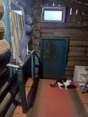 1/4 доли жилого дома, 46,8 кв. м, Удмуртская Республика, жилой дом с постройками: дровяник, баня, предбанник, сарай, конюшня, навес, назначение: жилой дом, количество этажей: 1, общая площадь 46,8 кв. м., адрес (местоположение): Удмуртская Республика, Малопургинский район, с. Малая Пурга, улица…