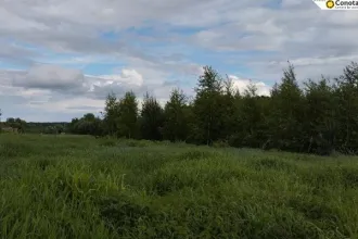 Земельный участок КН 50:30:0040104:1141 1477 кв.м Московская область Площадь земельного участка: 1477 Кадастровый номер земельного участка: 50:30:0040104:1141 Основной вид разрешенного использования: 2.1