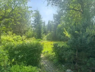 Жилой дом площадью 316,4 кв.м. с кадастровым номером 50:11:0000000:57610, расположенный по адресу 143581, РОССИЯ, Московская обл., Истринский р-н, д. Аносино ул. Зеленая, д. 6, Земельный участок площадью 1700 кв.м. с кадастровым номером 50:08:0050108:75 расположенный по адресу 143581, РОССИЯ…