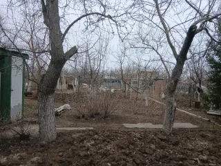 земельный участок из категории земель населенных пунктов,    с кадастровым номером 61:48:0070306:840, площадью 409 кв.м., расположенный по адресу: Ростовская обл., г. Волгодонск,  Садоводство «Мирный атом», 32, квартира 39,  с видом разрешенного использования «садоводство». земельный участок из…