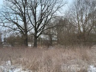 Земельный участок 700 кв.м для ЛПХ, Московская область. Кадастровый квартал 50:07:0020105, площадь 700 кв.м, категория - «земли населенных пунктов», вид разрешенного использования - «для ведения личного подсобного хозяйства (приусадебный земельный участок)», местоположение: Московская область…