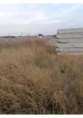 Земельный участок, 500 кв.м, Краснодарский край, г. Ейск, с/т "Виктория", дом 234, категория земель: Земли населенных пунктов, разрешенное использование: Земельные участки садоводческих товариществ, кадастровый номер: 23:42:0708002:155.