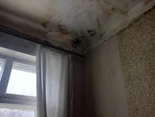 Помещение жилое (квартира), кадастровый номер 73:24:020903:128, площадь 51.7, адрес: г. Ульяновск, ул. Академика Павлова, д. 26А, кв. 7 (хозяйственное ведение).